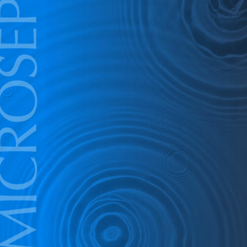 Excellence Level Balances